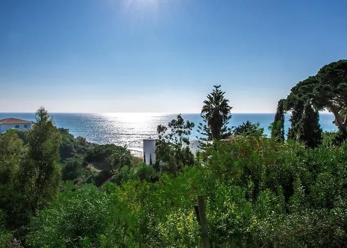 Mauri Luxe - Beautiful Beachfront *